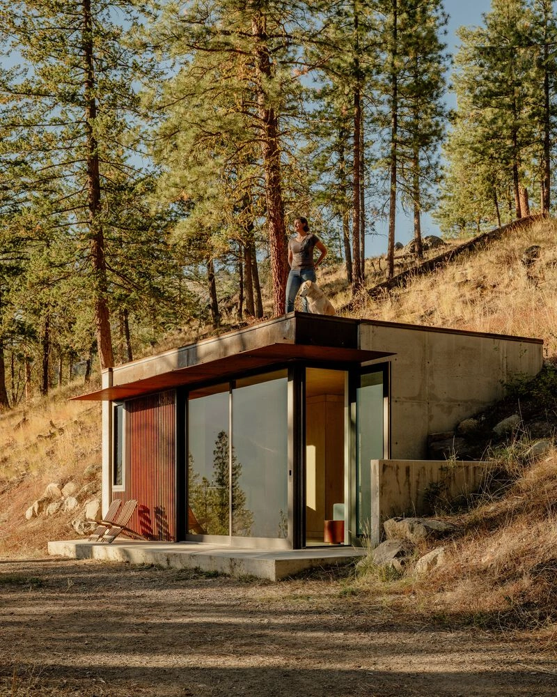 Tinyleaf cabin