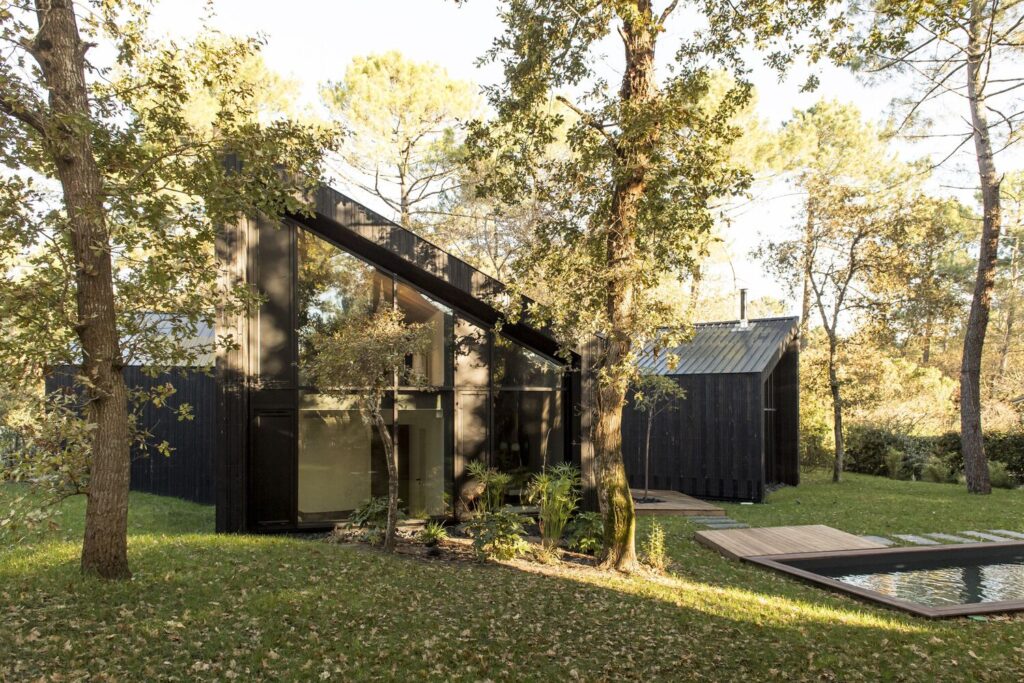 House in the Trees by OECO Architectes: A Minimalist Retreat in Harmony with Nature