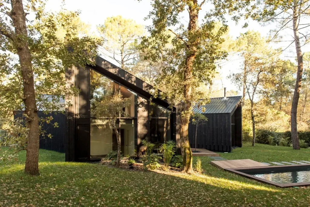 House in the Trees by OECO Architectes