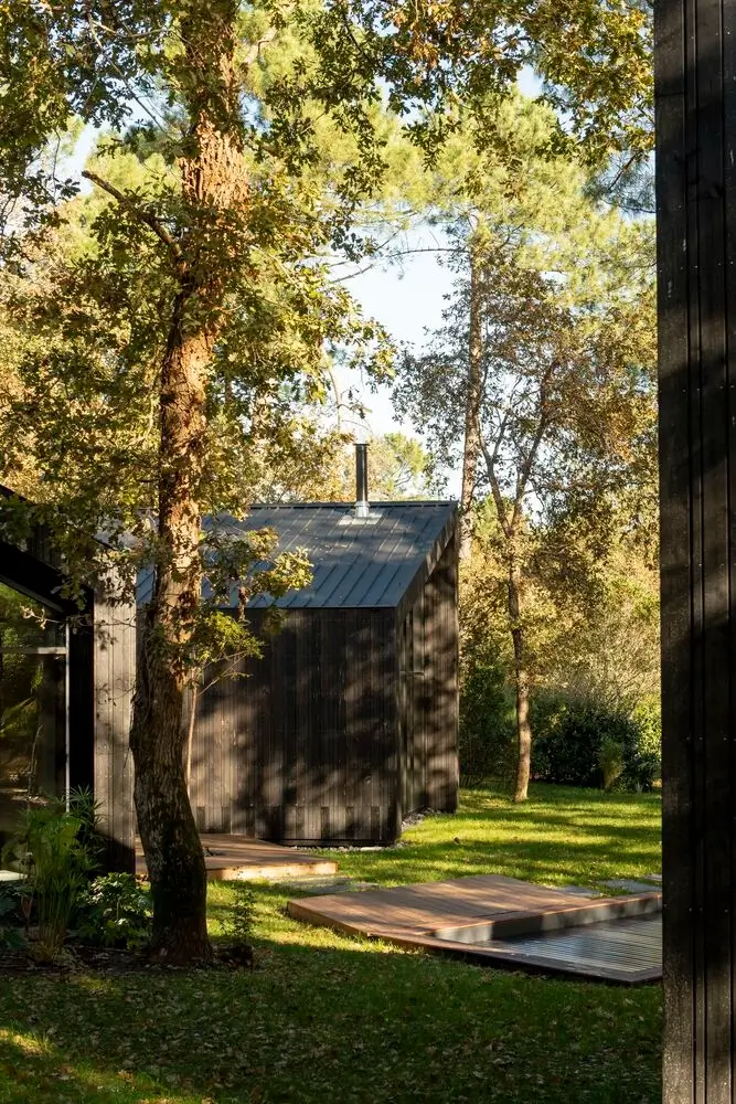 House in the Trees by OECO Architectes