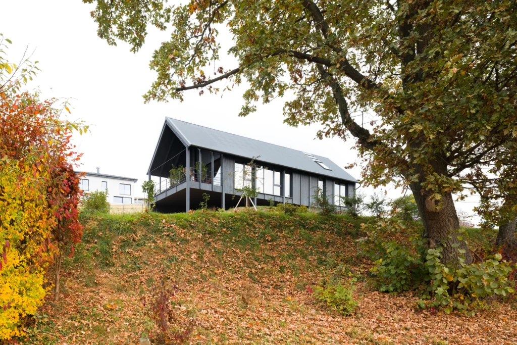 Black Beauty House M by Backraum Architektur