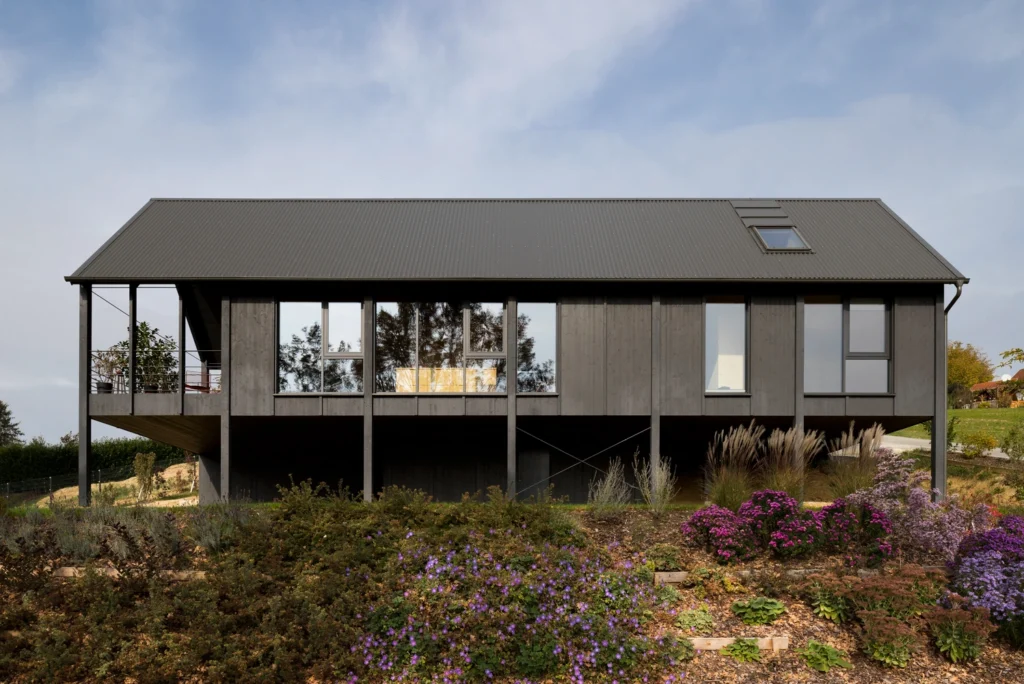 Black Beauty House M by Backraum Architektur