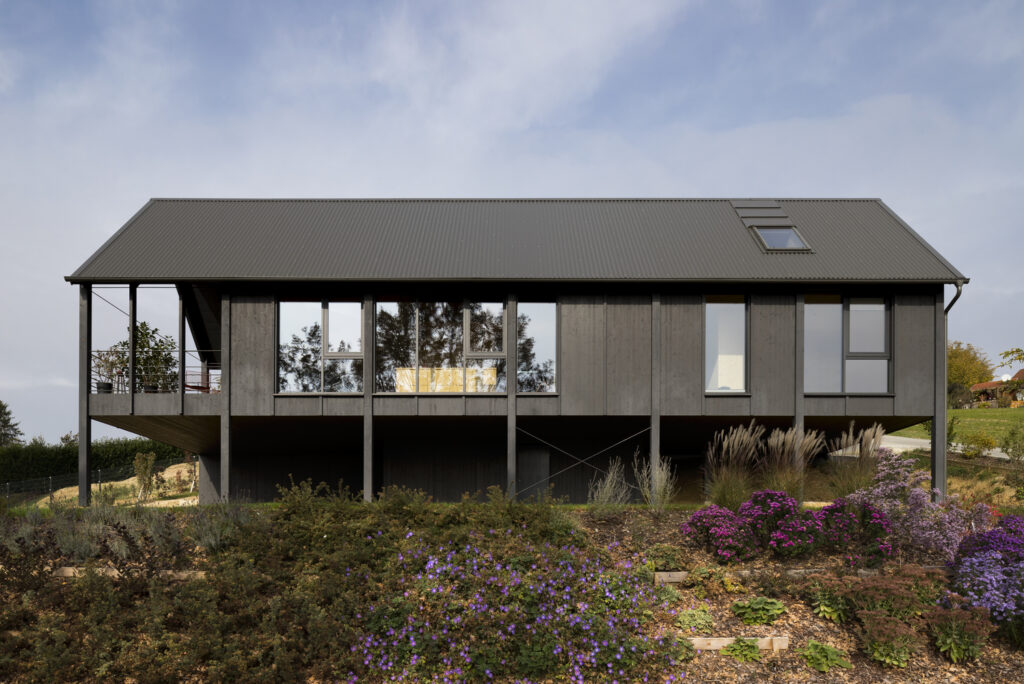 black beauty house m